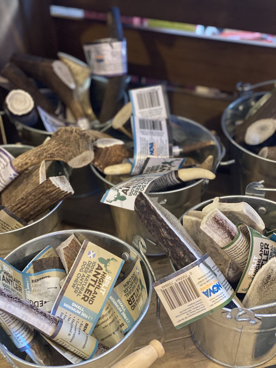 bemorebob2's tweet image. Pals, we only stock 100% natural chews. 

Chewing is good for you in so many ways
 
- helps clean yours teef
- helps calm you down
- engages your mind, you may notice it tires you out
- helps with bad breath

Link: bemorebob.co.uk/collections/ch…