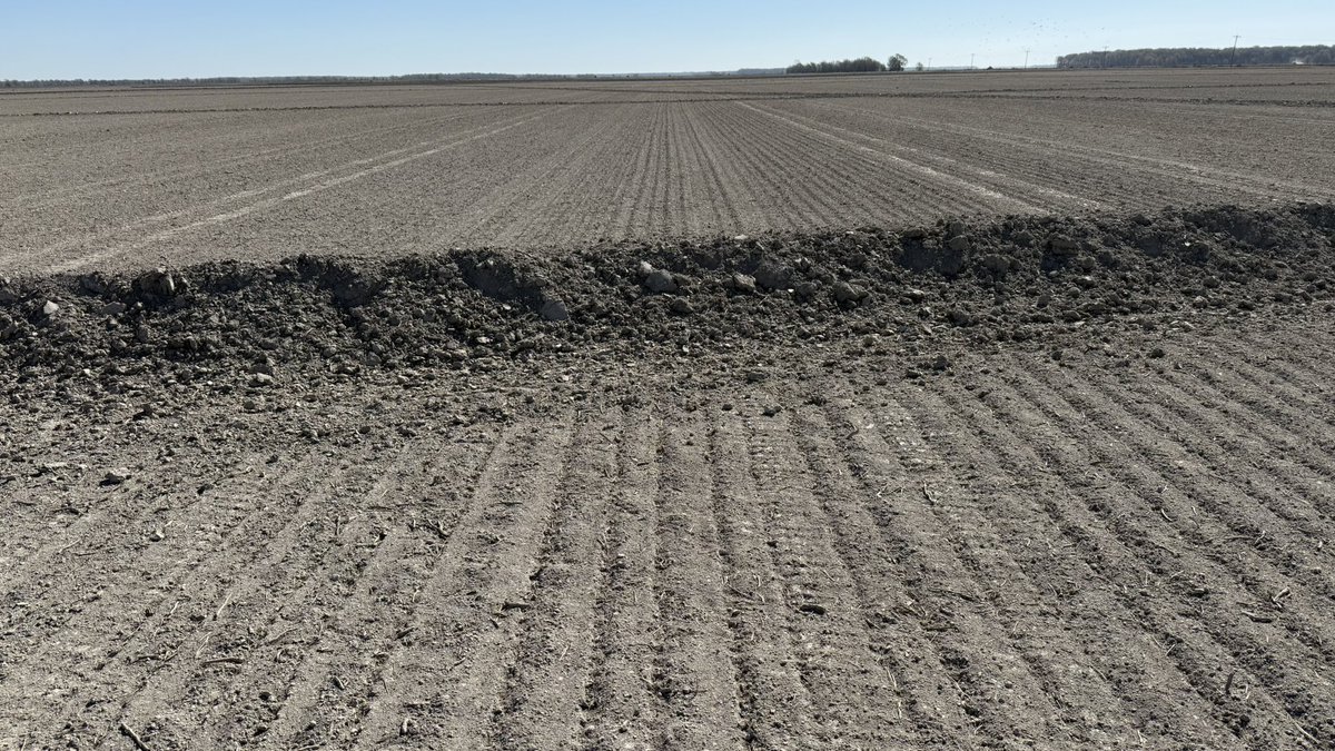 Arkansas Rice Update
3-28-25
arkansascrops.uada.edu/posts/crops/ri…

Progress, adjusting for low germ, insecticide seed treatments, &amp; markets.