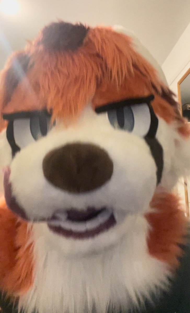 mmmmmmMWahhh 
#FursuitFriday