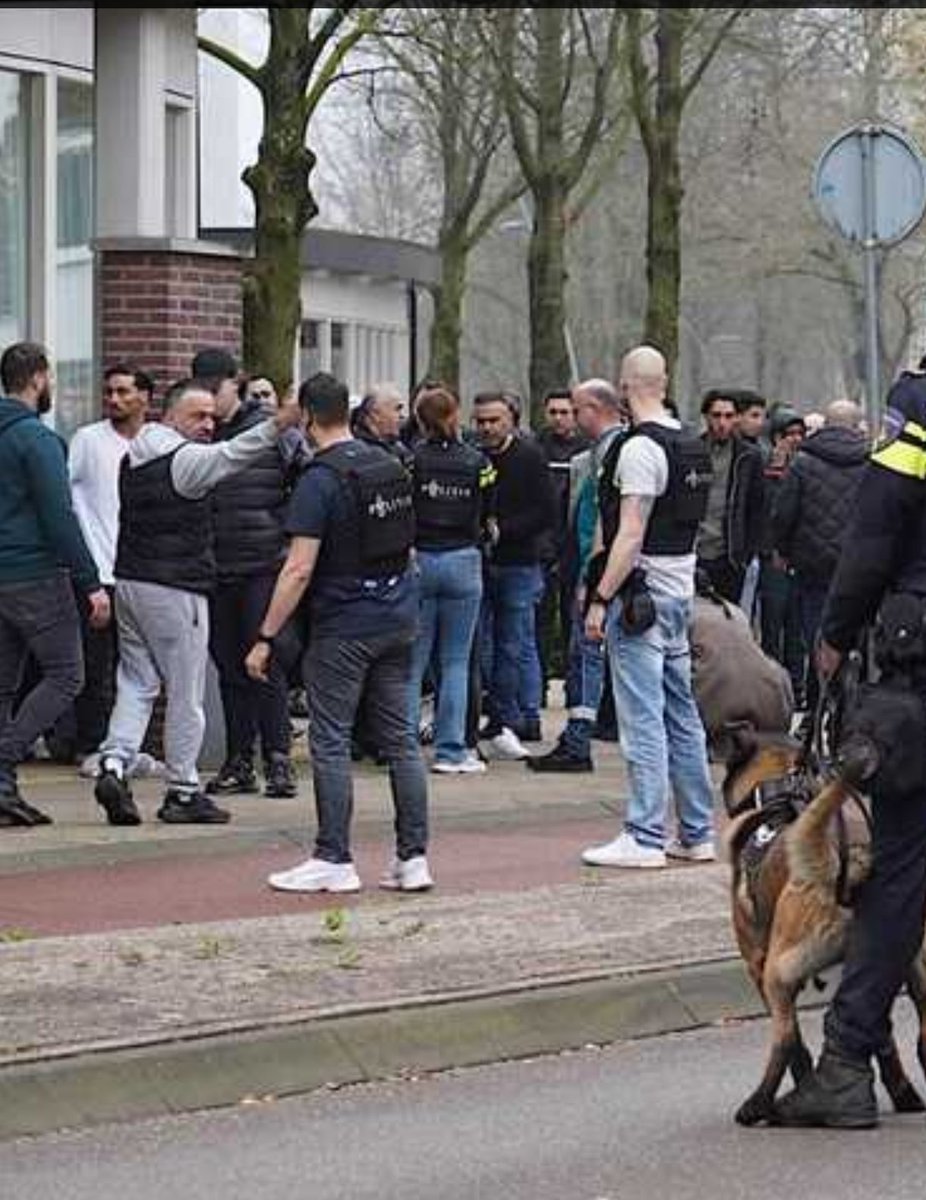 Flick1_'s tweet photo. Je verwacht het niet hè 

#oosterhout https://t.co/cWMYktkIFw