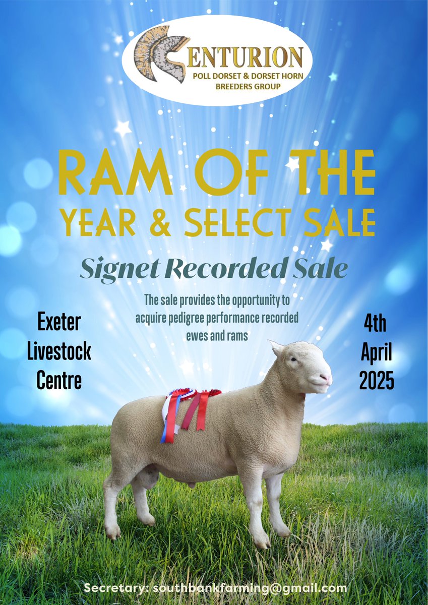 Centurion Dorset Sheep Breeding Group (@centuriongroup2) on Twitter photo 🐏📈🧬CENTURION RAM OF THE YEAR & SELECT SALE🐏📈🧬
kivells.com/.../Centurion%…
.
.
.
#sheep #sheepfarming #dorsetsheep #polldorset #forsale <a href="/KivellsAgri/">Kivells Agriculture</a> 🐏📈🧬CENTURION RAM OF THE YEAR & SELECT SALE🐏📈🧬
kivells.com/.../Centurion%…
.
.
.
#sheep #sheepfarming #dorsetsheep #polldorset #forsale <a href="/KivellsAgri/">Kivells Agriculture</a>