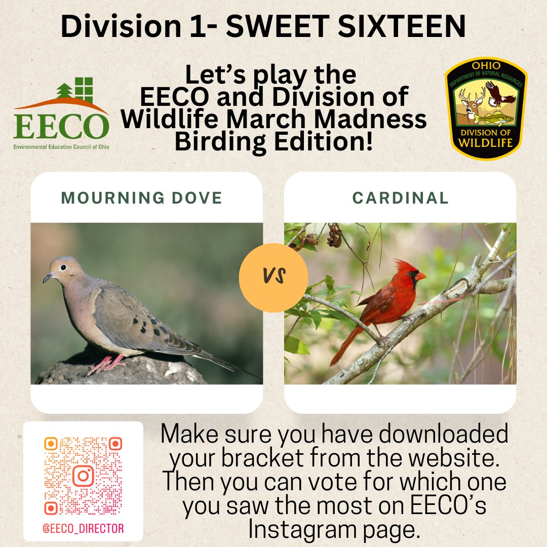 directorEECO's tweet image. It is time for the Division 1 SWEET SIXTEEN 😳
Who will make the ELITE EIGHT? 😁
Play along and let us know which bird you saw more by voting on our Instagram page. 
To learn more: eeco.wildapricot.org/page-1786411

#getoutside #marchmadnessbirdbracket #BirdingFun