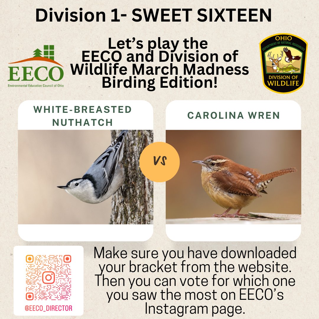 directorEECO's tweet image. It is time for the Division 1 SWEET SIXTEEN 😳
Who will make the ELITE EIGHT? 😁
Play along and let us know which bird you saw more by voting on our Instagram page. 
To learn more: eeco.wildapricot.org/page-1786411

#getoutside #marchmadnessbirdbracket #BirdingFun