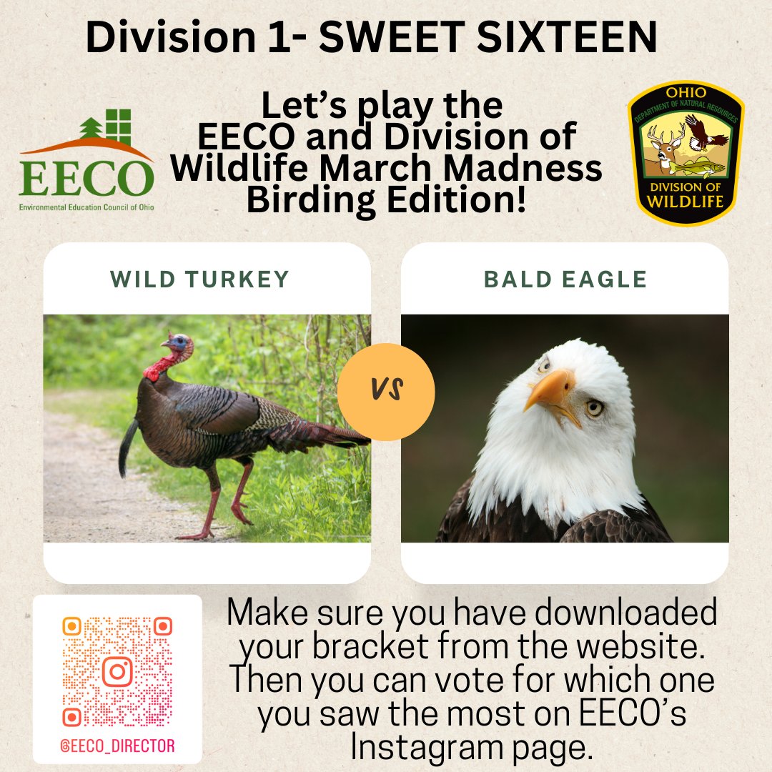 directorEECO's tweet image. It is time for the Division 1 SWEET SIXTEEN 😳
Who will make the ELITE EIGHT? 😁
Play along and let us know which bird you saw more by voting on our Instagram page. 
To learn more: eeco.wildapricot.org/page-1786411

#getoutside #marchmadnessbirdbracket #BirdingFun