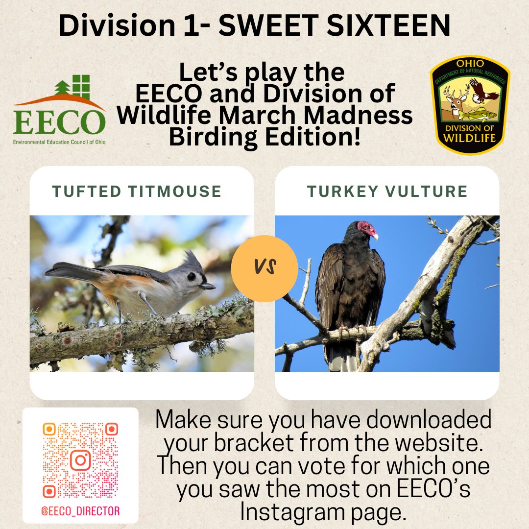 directorEECO's tweet image. It is time for the Division 1 SWEET SIXTEEN 😳
Who will make the ELITE EIGHT? 😁
Play along and let us know which bird you saw more by voting on our Instagram page. 
To learn more: eeco.wildapricot.org/page-1786411

#getoutside #marchmadnessbirdbracket #BirdingFun