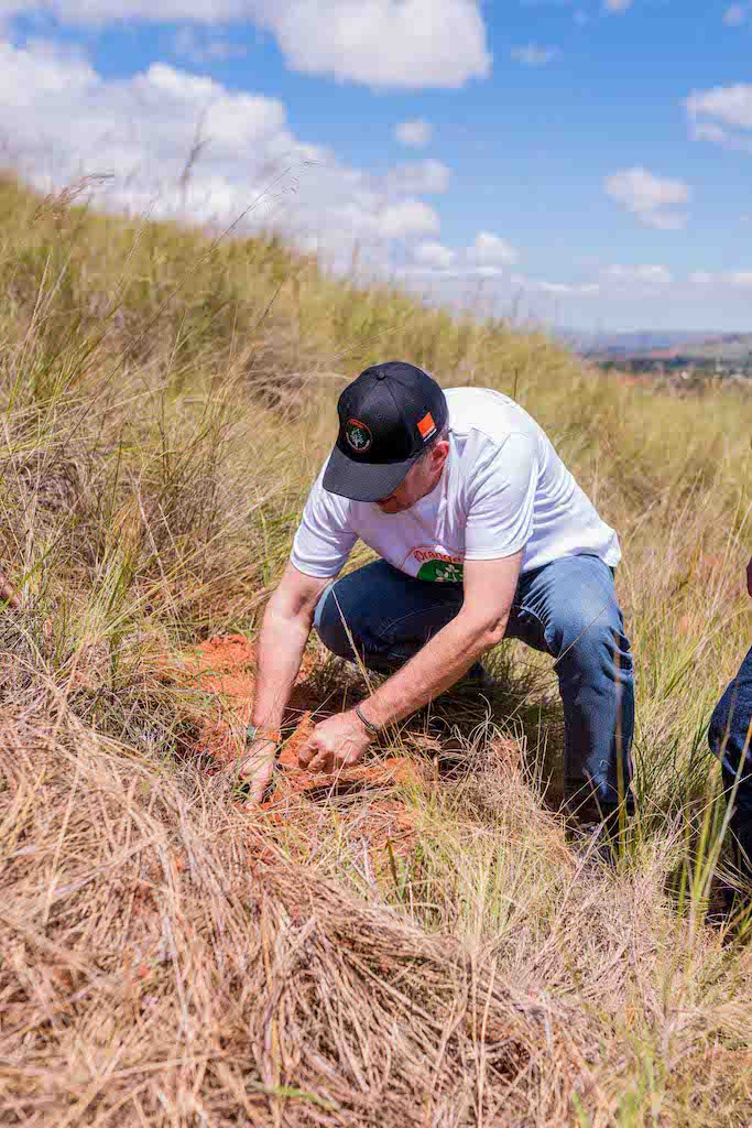 Frédéric P. DEBORD tweet media