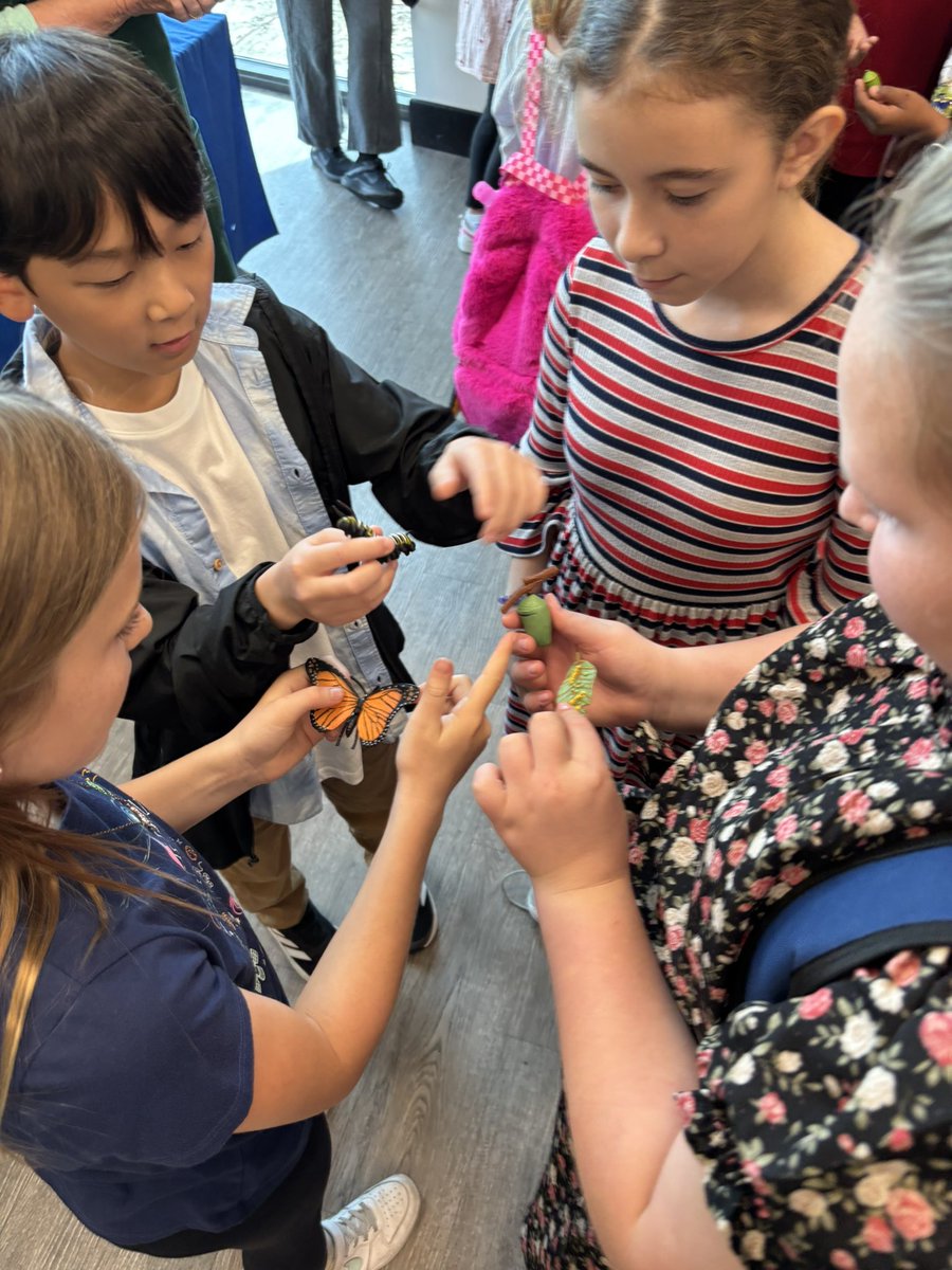 Science stations! #vcsscienceexpo