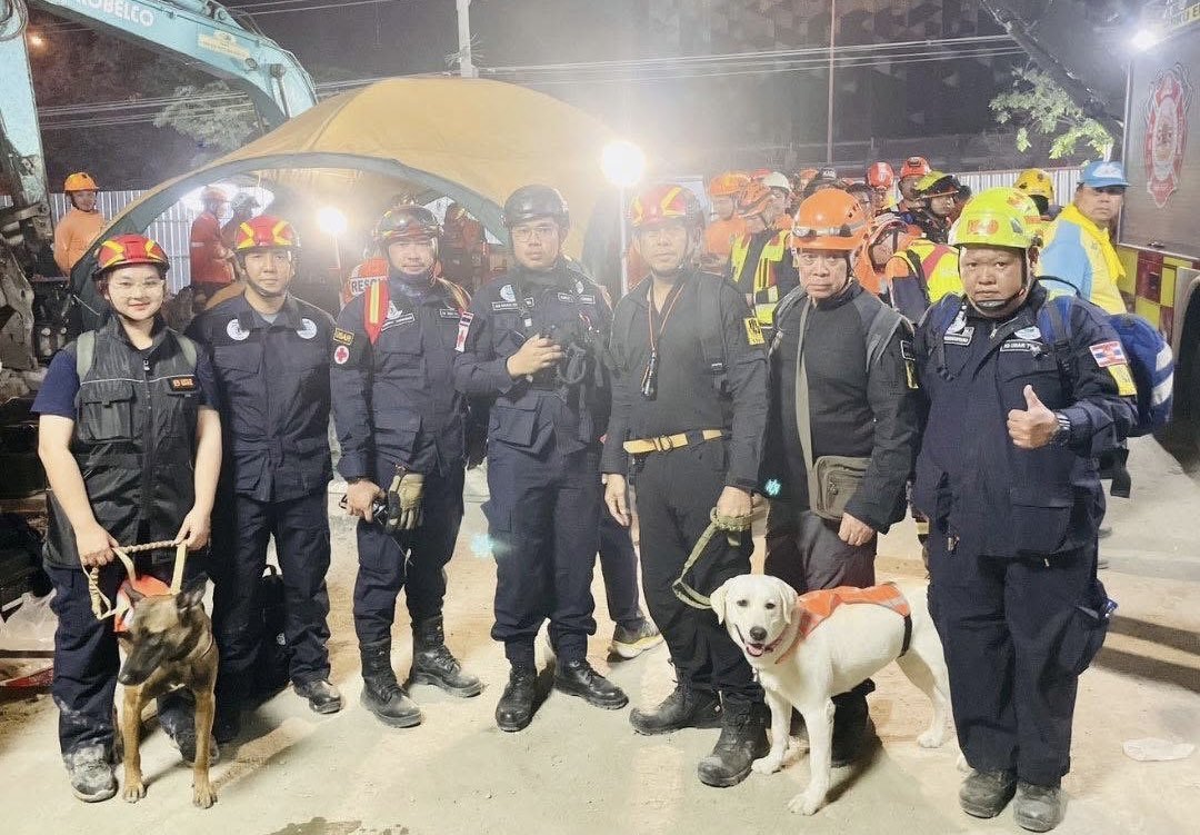 historiente's tweet photo. 🇹🇭 | #ÚLTIMAHORA: Comparten imágenes del primer equipo de refuerzo. La unidad K9 USAR Tailandia (Unidad Canina de Rescate) ingresó a la zona del edificio derrumbado para acelerar la búsqueda de desaparecidos tras el colapso.

Sahara, Safari, Lily, Bruno, Naree y Sinuan, perros entrenados para rescate, son una nueva esperanza en esta operación.

#Bangkok #Terremoto #Tailandia #Asia #Eartquake #Thailand