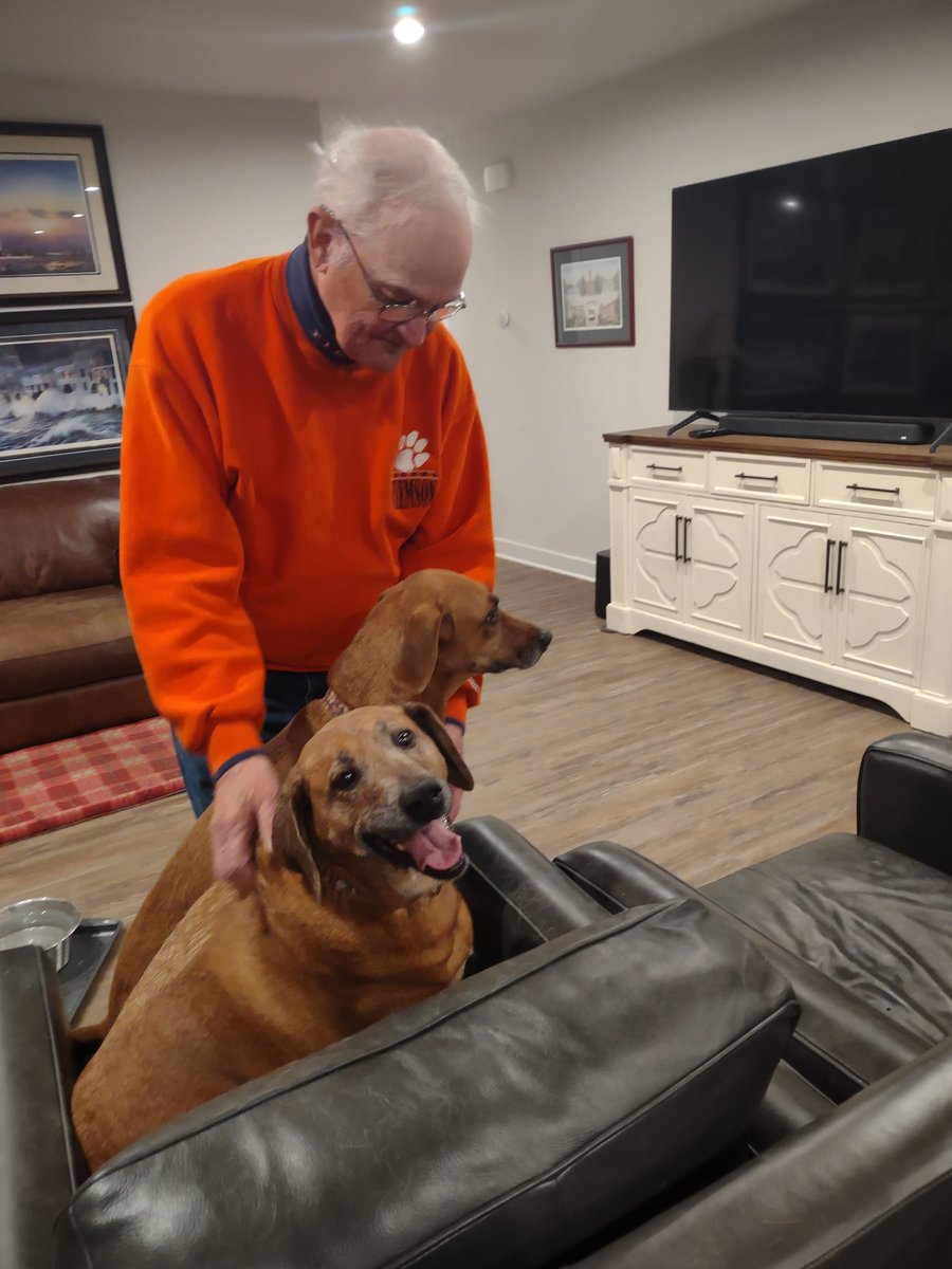 skinshuly's tweet image. For Scarlett's 10 birthday today we ran #fastcat Scarlett and Rosie earned their FCAT2 titles and Rusty earned his DCAT title woohoo