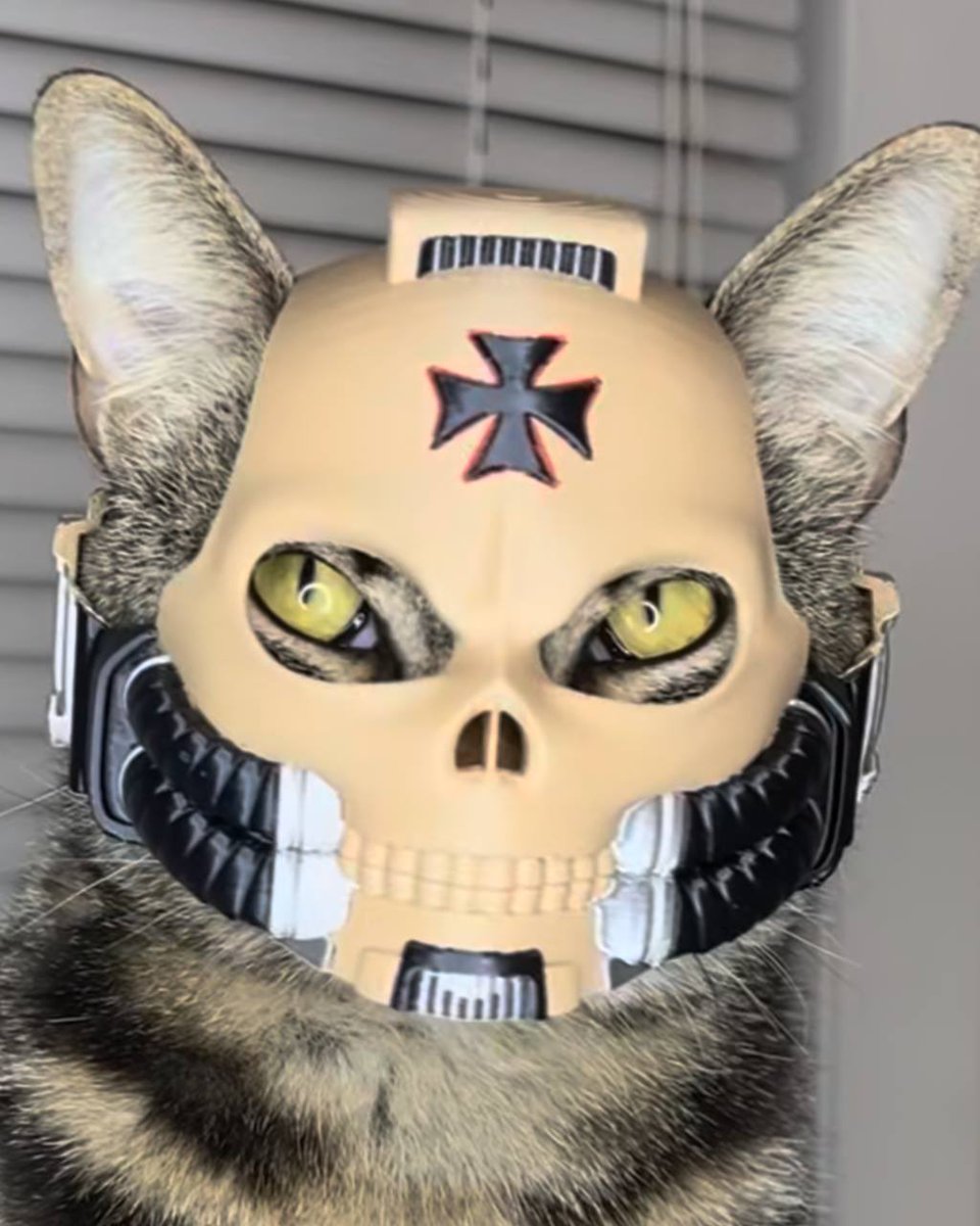 bimbuscoin's tweet photo. the helmet stays on https://t.co/0yhdhUO25H