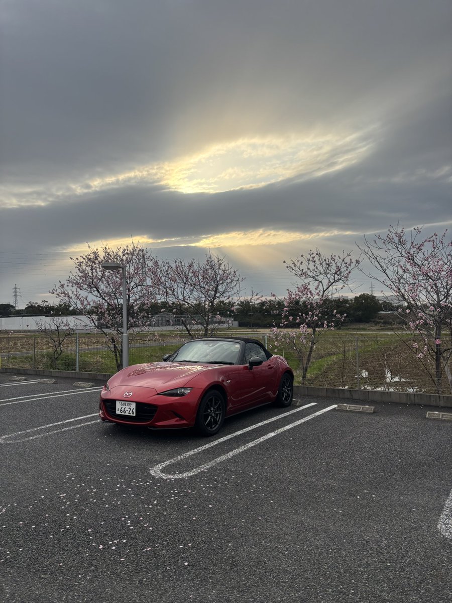 ROADSTER_love14's tweet photo. アーモンドの花、初めて見た https://t.co/wNphDifyvB