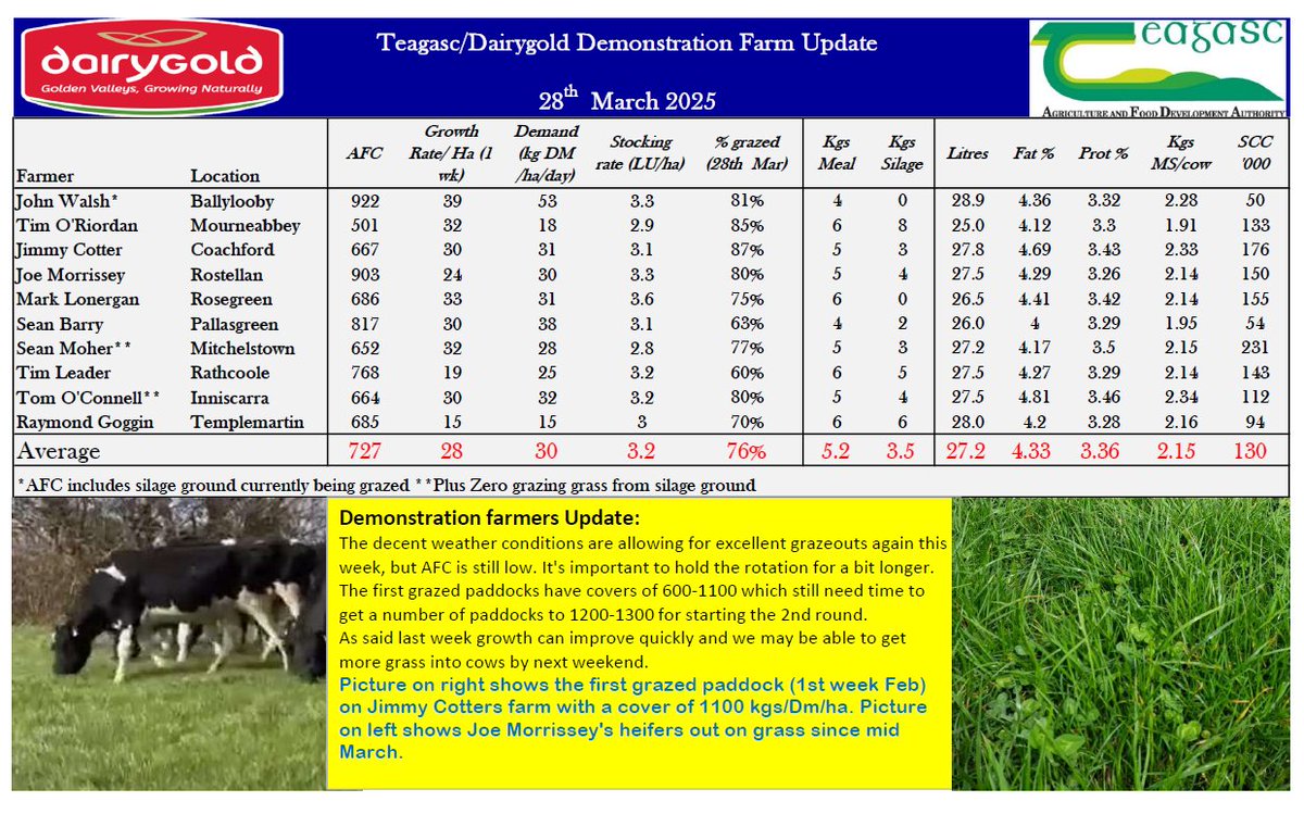 Excellent graze-outs but grass still tight!