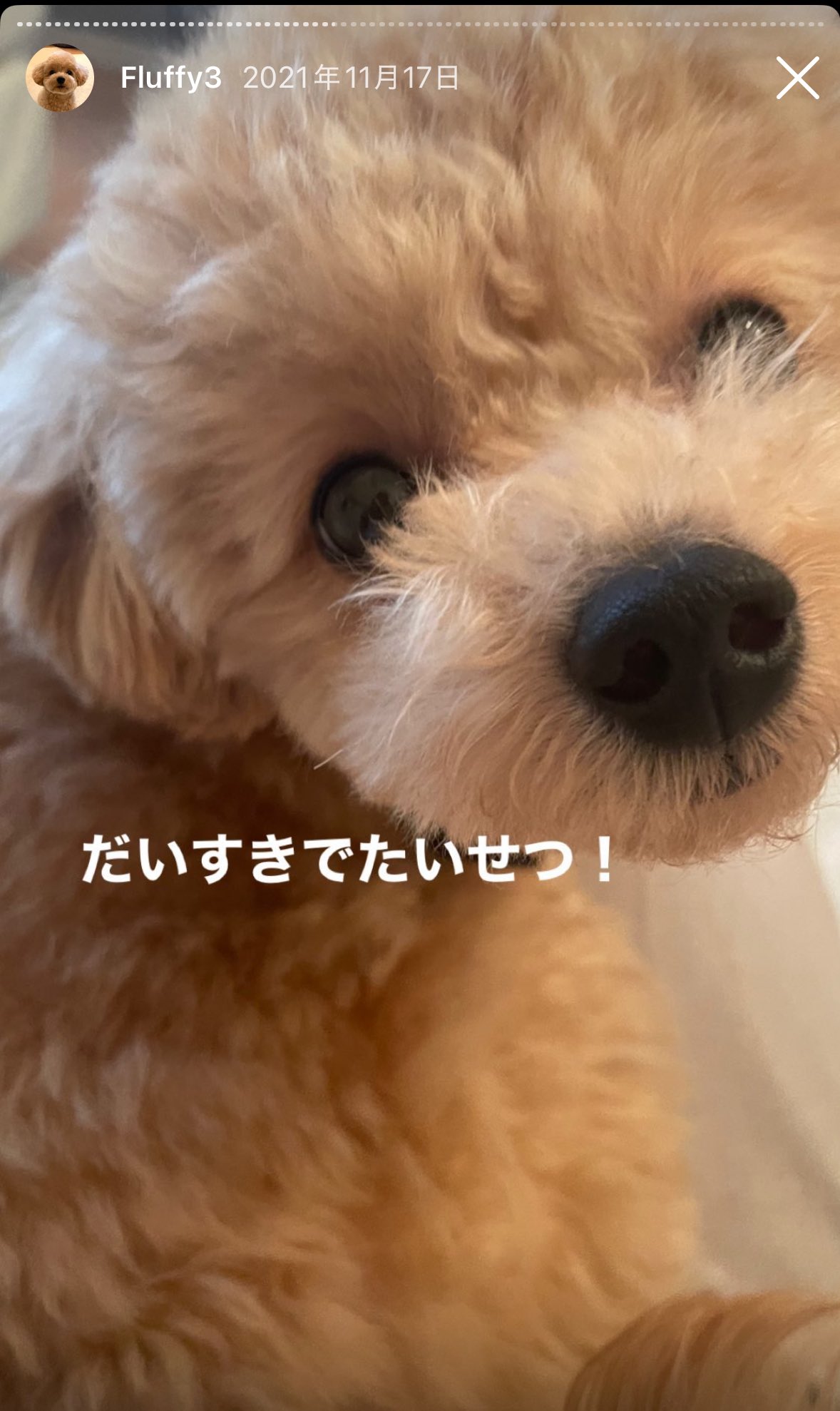 ARISA (@arrrriiii__) / X