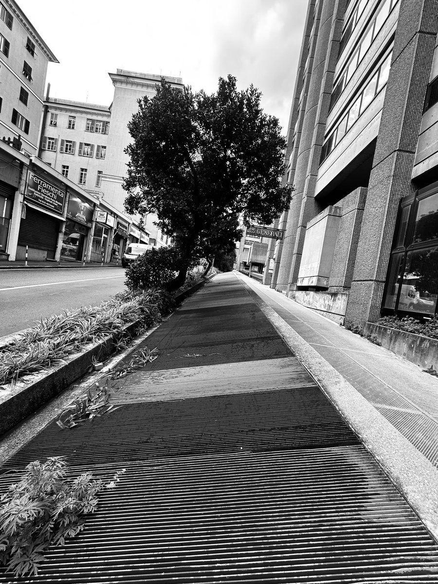 Alonein43672278's tweet image. #photography #blackandwhite #grids