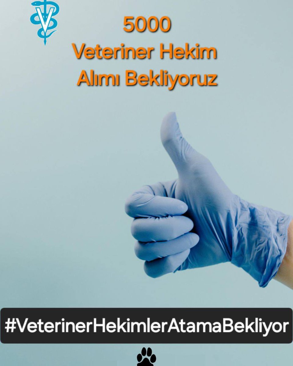 Veteriner hekimler, hayvan sağlığını korumanın yanı sıra halk sağlığını da güvence altına alan kritik meslek gruplarından biridir. Gıda güvenliği, zoonotik hastalıkların önlenmesi ve hayvancılığın sürdürülebilirliği açısından büyük bir rol oynarlar. <a href="/RTErdogan/">Recep Tayyip Erdoğan</a> <a href="/ibrahimyumakli/">İbrahim Yumaklı</a>