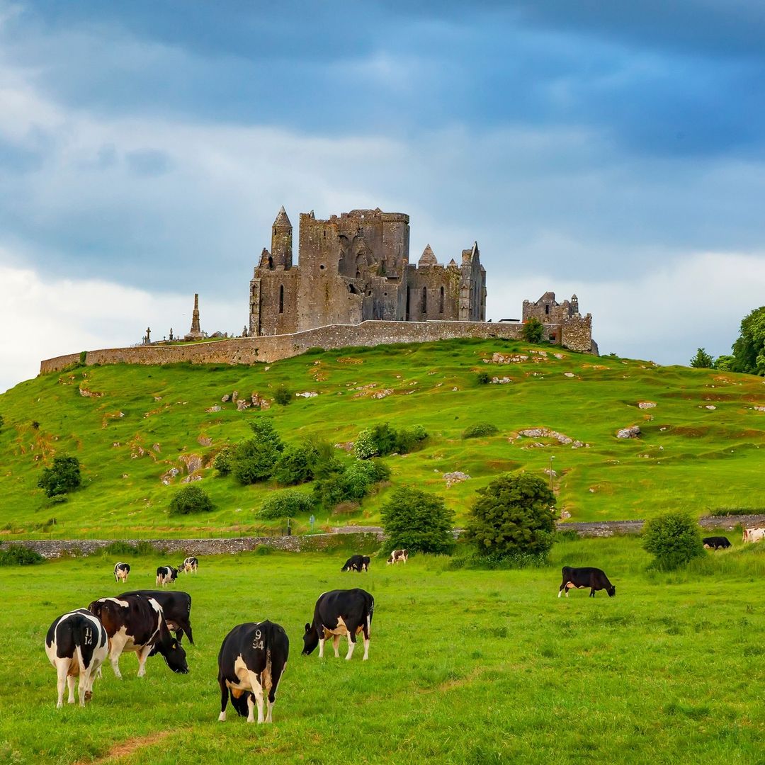 Love Ireland tweet media