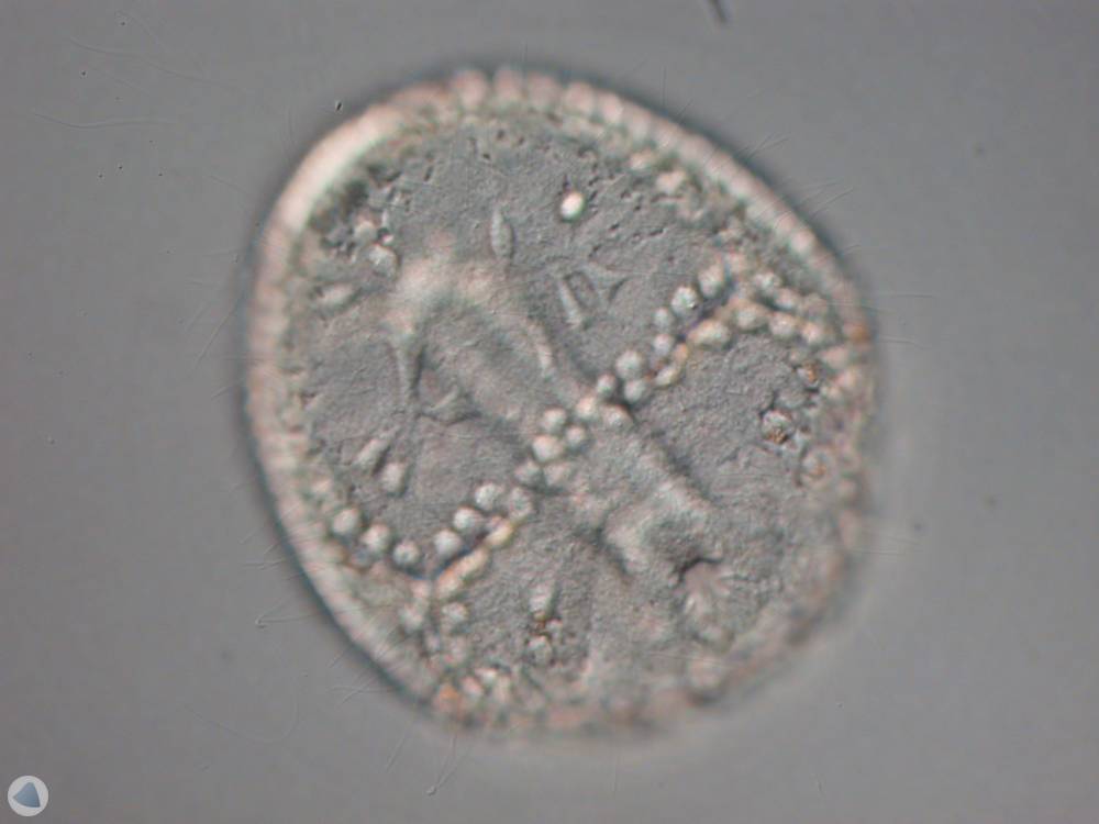 Petoskyz's tweet image. #TBT