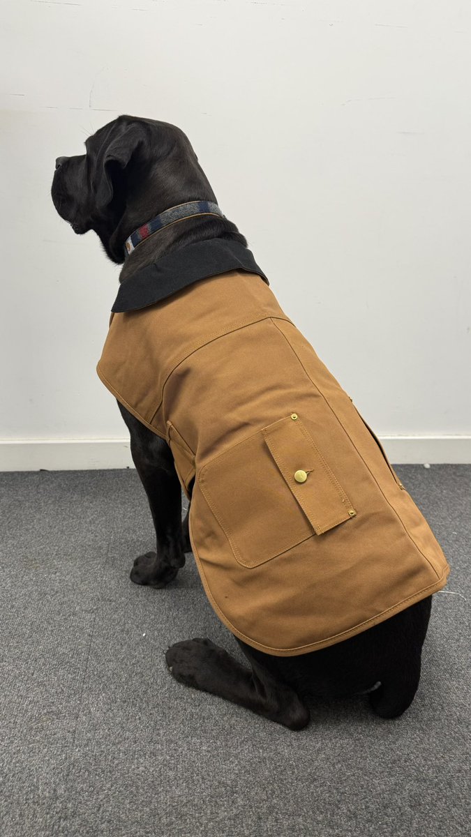 We are very very excited 😝 to #announce that we are #official Carhartt #stockists &amp; #distributors  😀 Keep checking our website to see what we will be offering you. 
Doesn’t Hector look smart in his #carharttdogjacket &amp; #collar