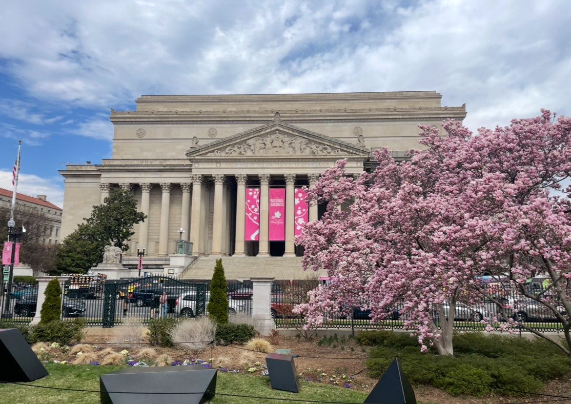 National Archives Foundation (@archivesfdn) on Twitter photo A warm welcome to all visitors coming over the next few weeks for the annual <a href="/CherryBlossFest/">National Cherry Blossom Festival 🌸</a>! AND <a href="/NationalMallNPS/">National Mall NPS</a> just confirmed we hit peak bloom. Even the @USnatarchives can't resist decking out in pink for the occasion 🌸 A warm welcome to all visitors coming over the next few weeks for the annual <a href="/CherryBlossFest/">National Cherry Blossom Festival 🌸</a>! AND <a href="/NationalMallNPS/">National Mall NPS</a> just confirmed we hit peak bloom. Even the @USnatarchives can't resist decking out in pink for the occasion 🌸