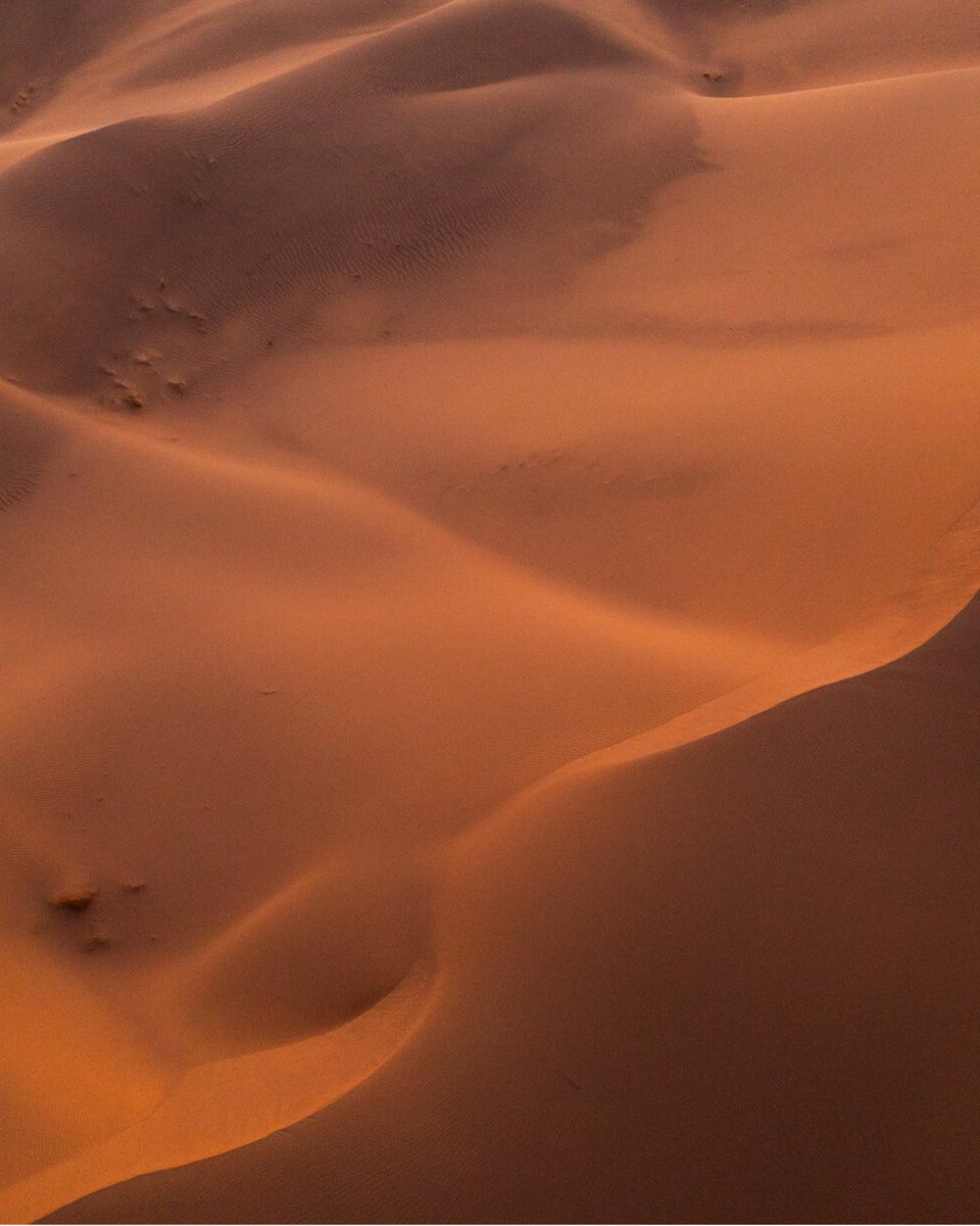 marathonDsables's tweet photo. 🏜️ ONLY ONE WEEK TO GO!

The countdown is picking up pace…

Imagine yourself surrounded by dunes, under a starry sky, with friends who share your passion for adventure. This will be your life in a week!

🔥 The desert is waiting for you

#MARATHONDESSABLES #MDSLegendary https://t.co/akW9bzaBDa