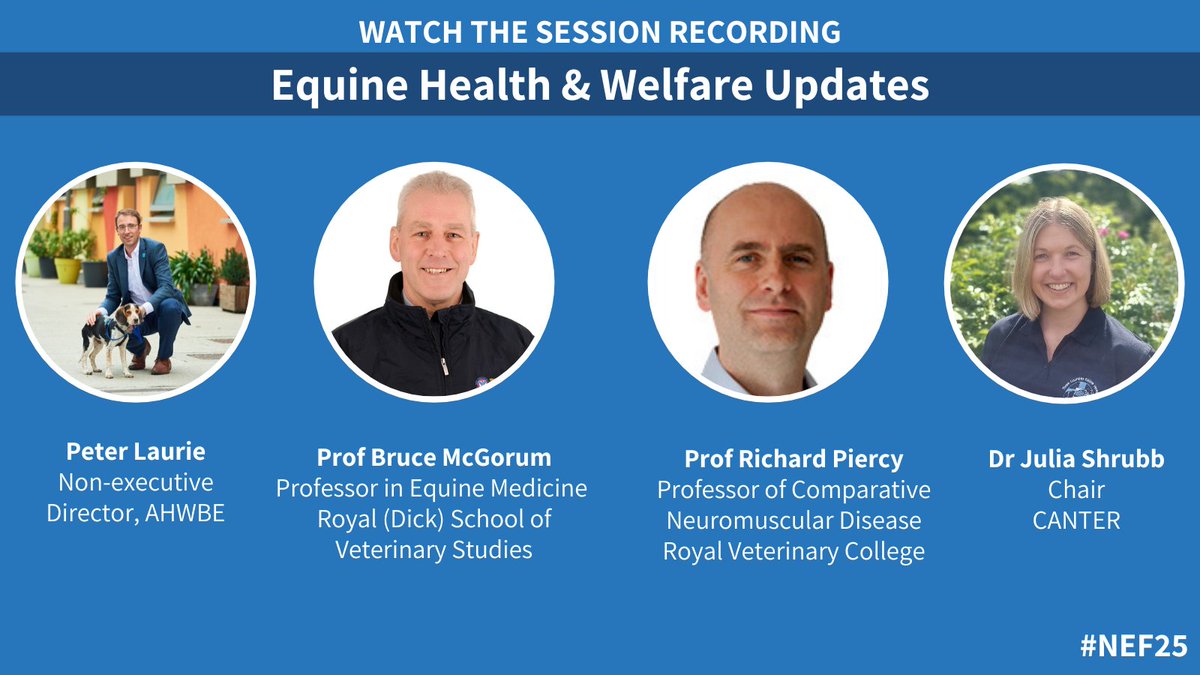NationalEquineForum (@nateqforum) on Twitter photo The recording of our #NEF25 Equine Health & Welfare Updates is available here: youtu.be/9GvIObETVng <a href="/RoyalVetCollege/">Royal Veterinary College (RVC)</a> The recording of our #NEF25 Equine Health & Welfare Updates is available here: youtu.be/9GvIObETVng <a href="/RoyalVetCollege/">Royal Veterinary College (RVC)</a>