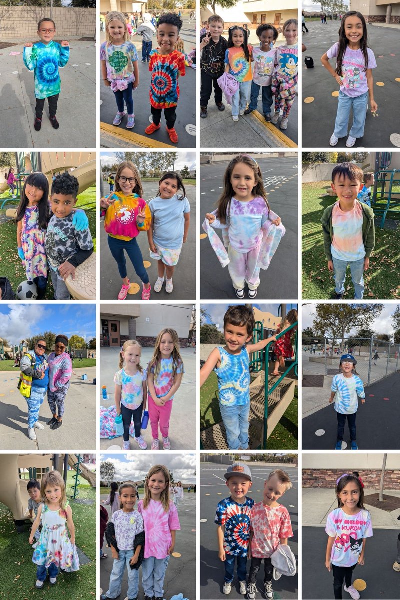 Mesa View Elementary tweet media