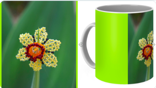 InessaW29's tweet photo. https://t.co/6NZqFFt45N……… 

Beaded daffodil coffee mug. 

From lovemydesigns 

#MHHSBD #Easter #floral #mug #gifts #viral #designs #designer #MothersDaygifts #MothersDay #giftideas #4mum #welshopen #welshweek https://t.co/13dY0CA7Eu