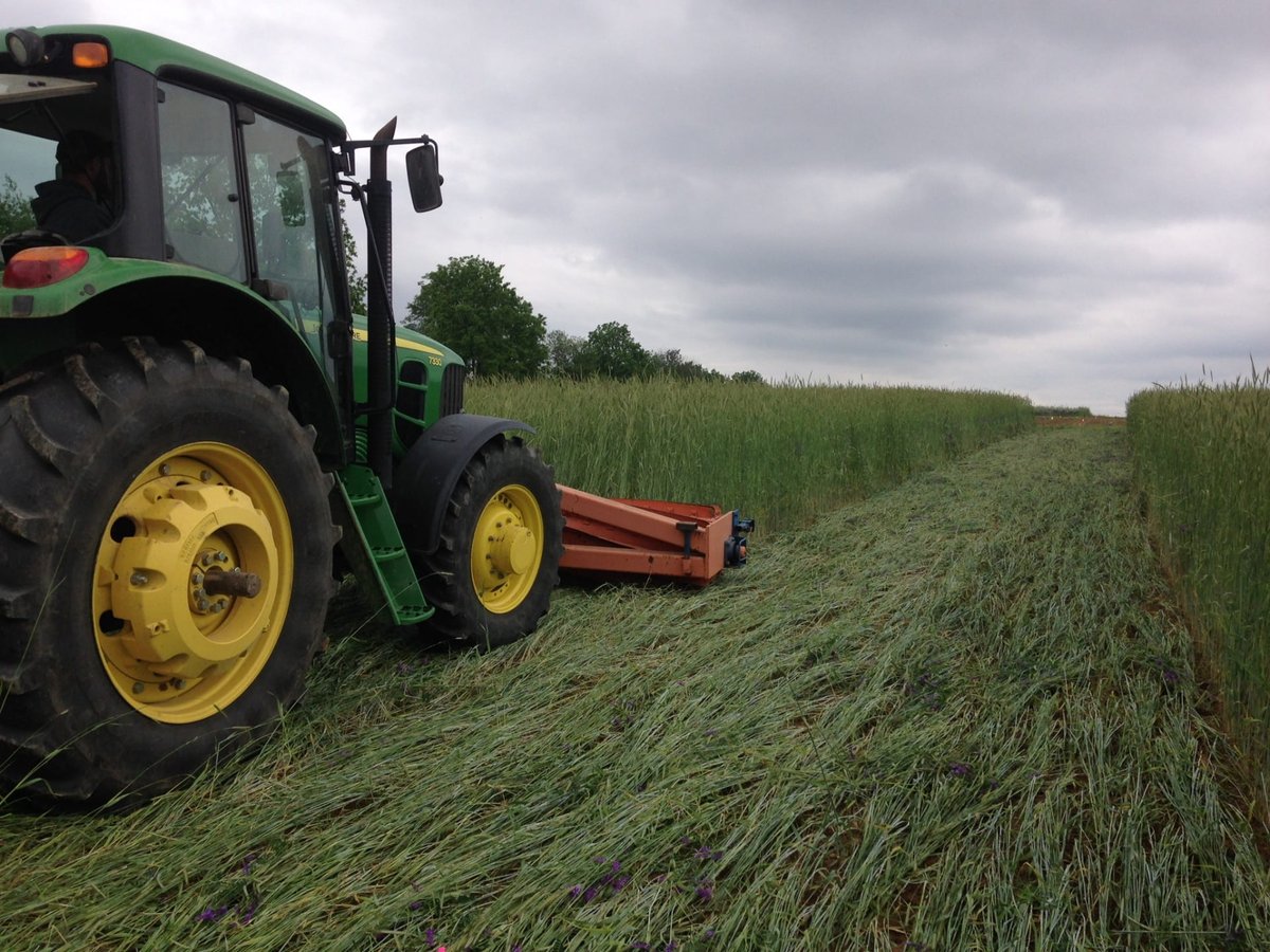 PAOrganic's tweet photo. 🌱 What’s Happening with Organic Farming Research in Pennsylvania?🌱  

🔗 Read all about it here: https://t.co/DdrgffcWHv 

#OrganicFarming #SustainableAgriculture #OrganicResearch  📸 Francesco DiGioia/Penn State https://t.co/lxAWJVyvLw