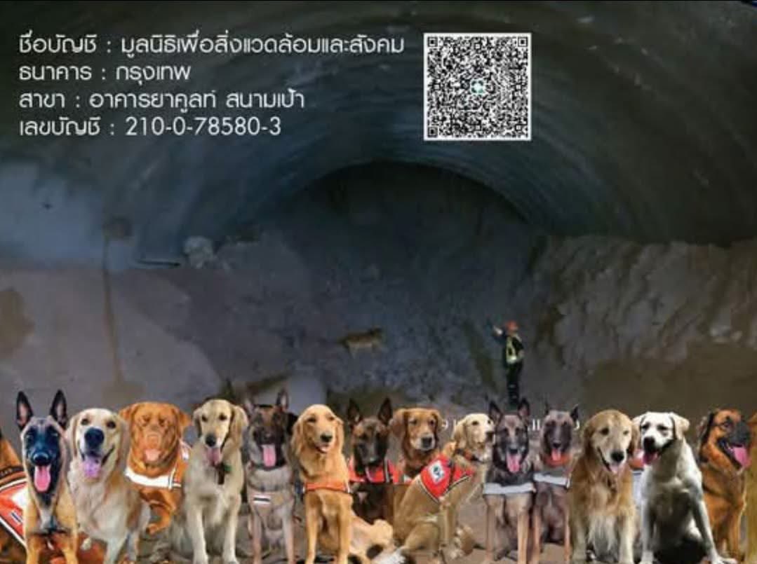 chimon_official's tweet photo. ภาพการทำงาน และการช่วยเหลือของน้องๆ #สุนัขK9 เราอยากเชิญชวนทุกคนส่งกำลังใจ และซัพพอร์ตน้องๆ และเจ้าหน้าที่ทุกท่าน 

ขอให้ทุกคนปลอดภัยนะคะ 🫶

บัญชี : มูลนิธิเพื่อสิ่งแวดล้อมและสังคม
เลขบัญชี 210-0-78580-3 
ธนาคารกรุงเทพ 
สาขา อาคารยาคูลท์ สนามเป้า

#ตึกถล่ม , #แผ่นดินไหว https://t.co/SxVvpYipAW