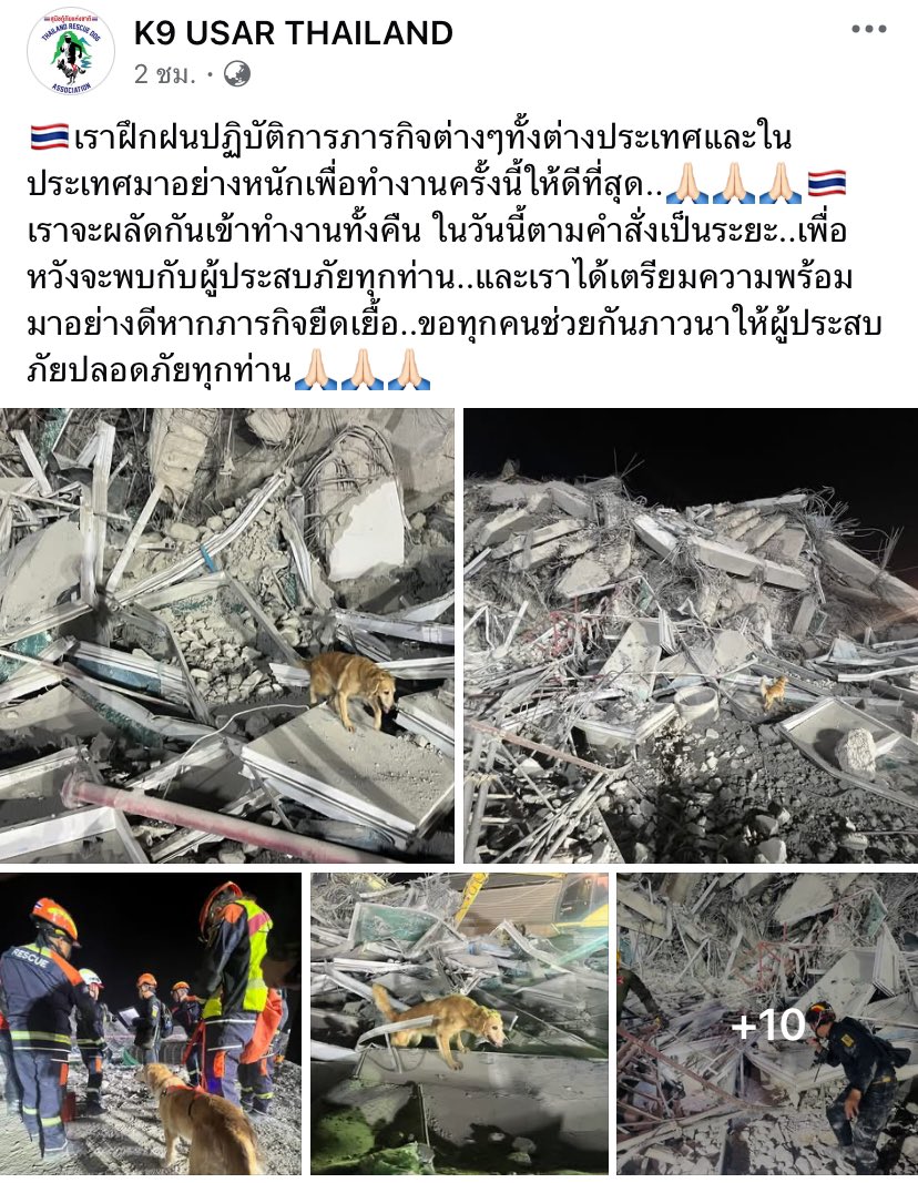 chimon_official's tweet photo. ภาพการทำงาน และการช่วยเหลือของน้องๆ #สุนัขK9 เราอยากเชิญชวนทุกคนส่งกำลังใจ และซัพพอร์ตน้องๆ และเจ้าหน้าที่ทุกท่าน 

ขอให้ทุกคนปลอดภัยนะคะ 🫶

บัญชี : มูลนิธิเพื่อสิ่งแวดล้อมและสังคม
เลขบัญชี 210-0-78580-3 
ธนาคารกรุงเทพ 
สาขา อาคารยาคูลท์ สนามเป้า

#ตึกถล่ม , #แผ่นดินไหว https://t.co/SxVvpYipAW