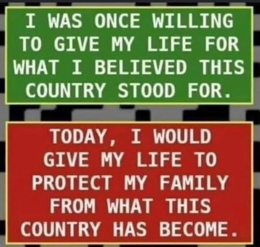 TheNorfolkLion's tweet image. This 👇🏻