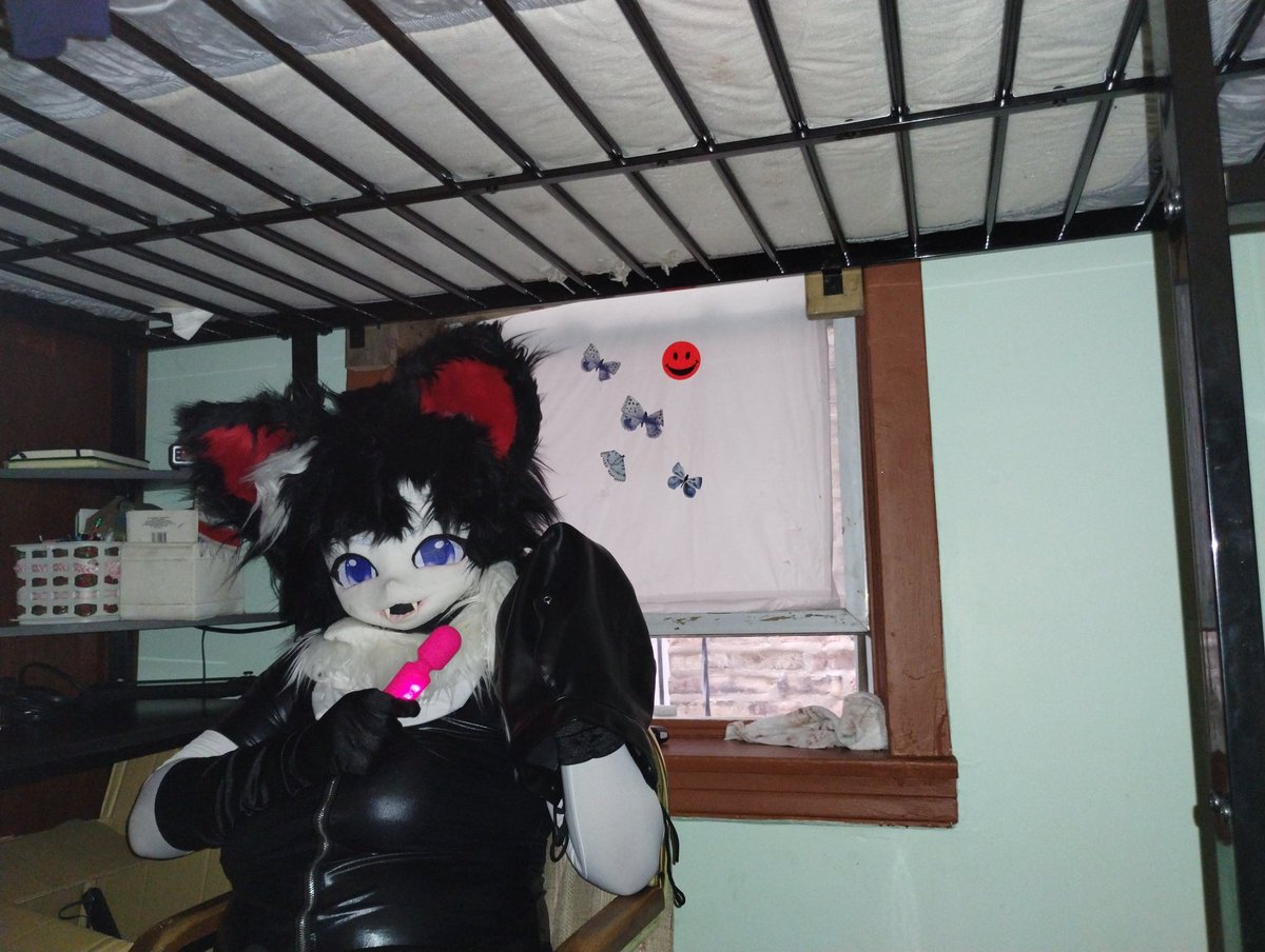 Sometimes I love the way pets squirm... Sometimes I love seeing pets moan for Mistress

But I'm sure little pets like you want to do both under a hood and a vibrator~ 🤍🖤

So come on... Let Mistress put this hood on and vibrate you with the vibrator~

#FursuitFriday #Latex #nsfw