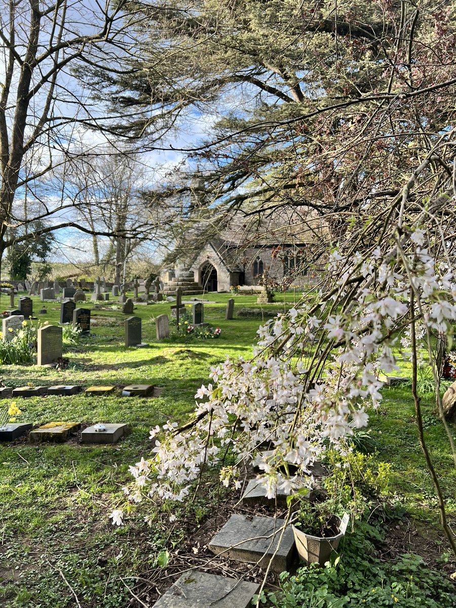 It’s beginning to look a lot like spring.