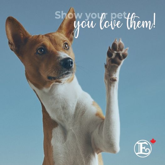Beauty Water (pH 5.0) is ideal for cleaning pets!

Contact an Enagic Independent Distributor to learn more.

#ChangeYourWaterChangeYourLife #Enagic #EnagicCanada #PetCare #KangenWater #BeautyWater #Pets
