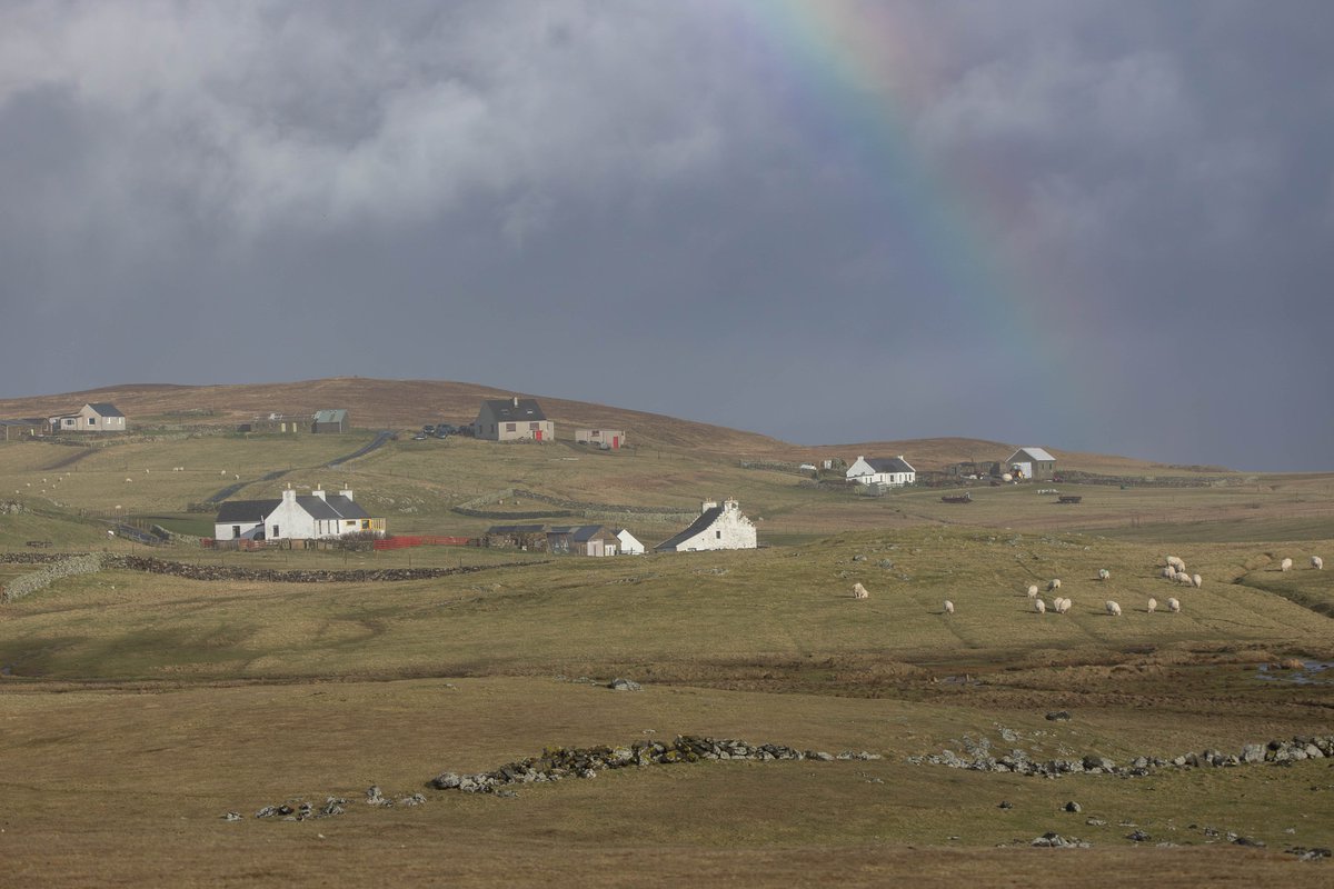 My first full day <a href="/FI_Obs/">Fair Isle Bird Observatory</a>. The massive cliffs and big seas made for an awe-inspiring walk around the south end. A few nice birds around too, with four Snow Buntings and lingering adult Iceland Gull the highlights. Looking forward to the rest of the season here!