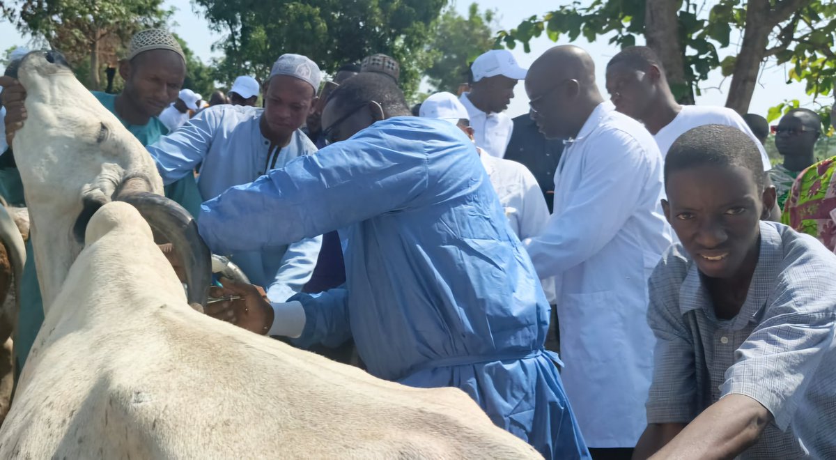 gouvbenin's tweet image. #Wasexo | #SanteAnimale | #ElevageBenin |

Santé animale : La première édition de la campagne de vaccination contre la fièvre aphteuse et la dermatose nodulaire contagieuse bovine lancée

🌐 Retrouvez l'article intégral sur le site du Gouvernement =&amp;gt; gouv.bj/article/3036/