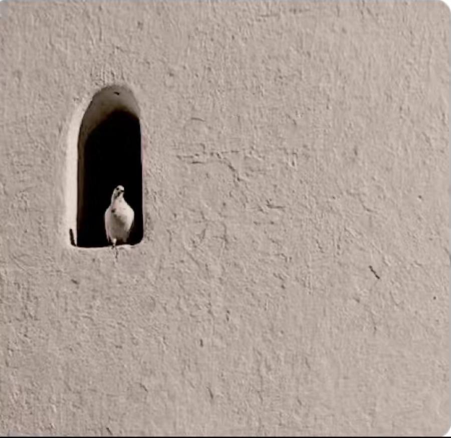 رُبما هو آت..!

من كان مُهتماً يُقصر
المسافات..🪶

 ┋𝐌┋♯̶