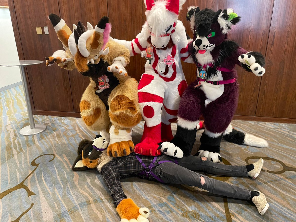 ๐ช๐๐ธ๐ธ๐ด๐ฒ๐ฎ๐ฎ ๐ช ๐ FWA (@kookieethederg) on Twitter photo Many steppies for #fursuitfriday
โค๏ธ<a href="/MapleTheDerg/">Canadian Maple ๐ Camp Feral</a>
๐<a href="/KVSHMUTT/">kvshmutt @ ๐ฆ เซฎ แด แดฅ แดแ</a>
๐ค<a href="/Lank__E/">Lank-E ๐ CanFur</a>
๐ธ - <a href="/Frigidcoldboi/">Frigid</a> Many steppies for #fursuitfriday
โค๏ธ<a href="/MapleTheDerg/">Canadian Maple ๐ Camp Feral</a>
๐<a href="/KVSHMUTT/">kvshmutt @ ๐ฆ เซฎ แด แดฅ แดแ</a>
๐ค<a href="/Lank__E/">Lank-E ๐ CanFur</a>
๐ธ - <a href="/Frigidcoldboi/">Frigid</a>