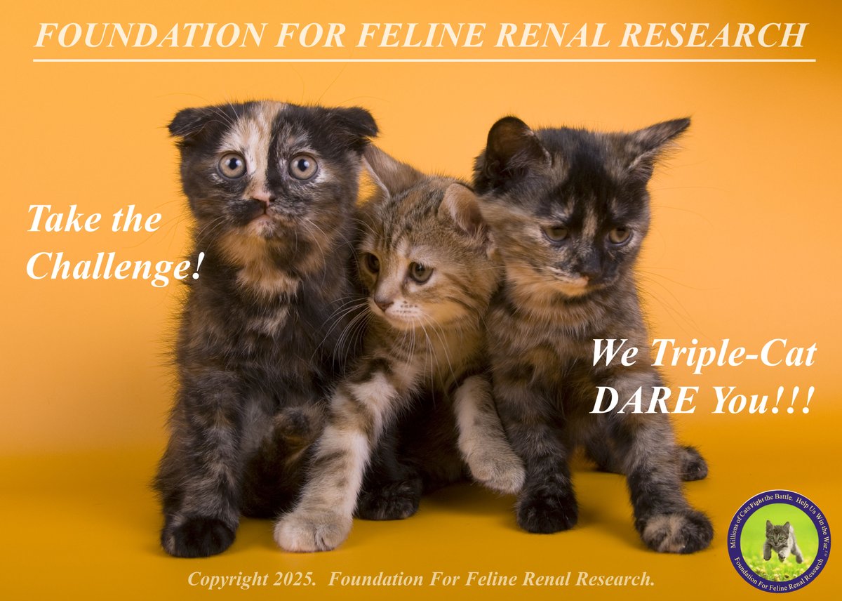 #FelineCKD claims the lives of approximately 1 in 3 of our beloved #Cats.  Our mission is to raise awareness, &amp; support humane research.  

Like what we do?  We need YOU!  Take the Challenge-spread the word, &amp; please donate!  1 in 3 is one too many!  foundationforfelinerenalresearch.org.