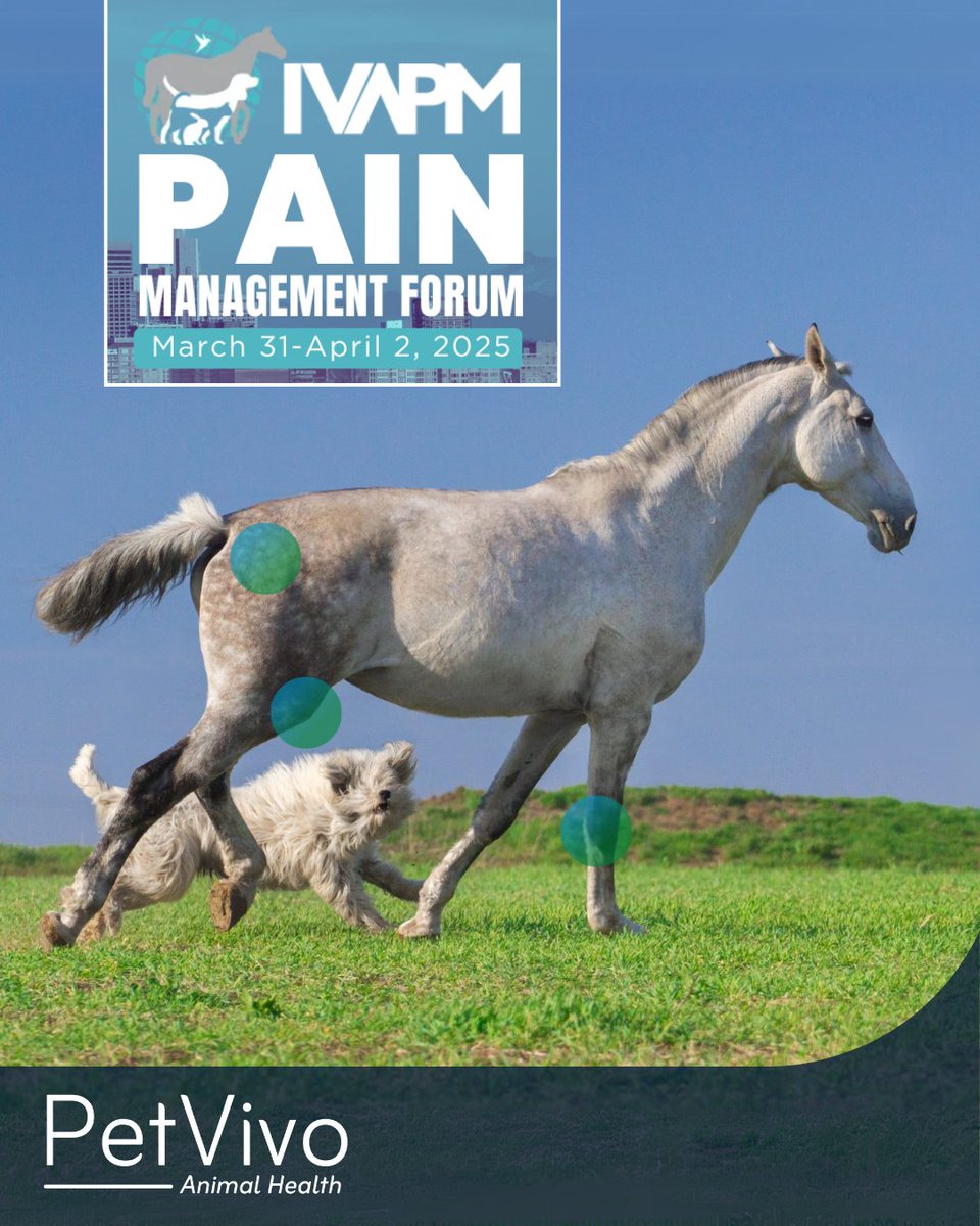Today is the day! Join us at The IVAPM Pain Management Forum, PetVivo Animal Health is sponsoring &amp; exhibiting. Also - Don't miss Dr. Lisa Mason, DVM, CCRT, CVA, CVPP, and her lecture on Diving Deeper into Joint Injections. 

#IVAPMPMF #AnimalPainManagement #PetVivoAnimalHealth