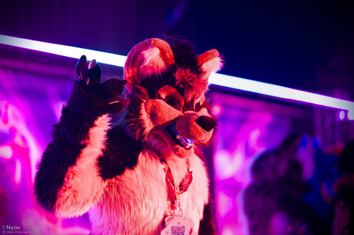 TIA (@doggotia) on Twitter photo Keep dancing during #FursuitFriday night ๐คฉ
Pics : Nyox
Suit: <a href="/TheKarelia/">TheKareliaFursuits ๐ Dokomi, EF29, Furnavia.</a>
#fursuit #fursuitdance #fursuiter #furryfandom Keep dancing during #FursuitFriday night ๐คฉ
Pics : Nyox
Suit: <a href="/TheKarelia/">TheKareliaFursuits ๐ Dokomi, EF29, Furnavia.</a>
#fursuit #fursuitdance #fursuiter #furryfandom