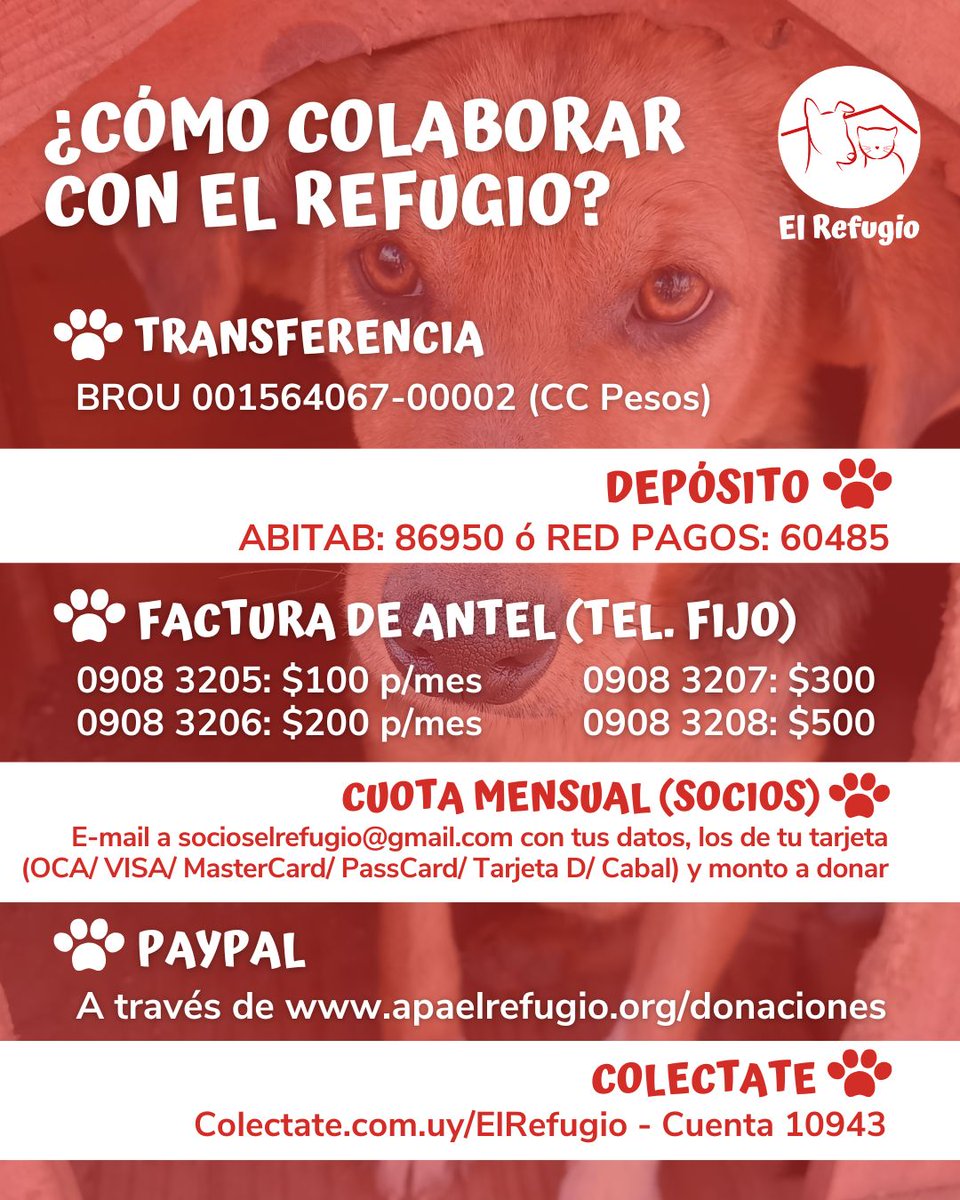 ¡Tu ayuda puede cambiar vidas! Cada donación nos ayuda a brindar alimento, atención veterinaria y un hogar temporal a animales en situación de abandono. Si no puedes donar dinero, puedes: 
🍲 Donar alimentos e insumos 
🏡 Adoptar o ser hogar de tránsito 
🔄 Compartir este mensaje