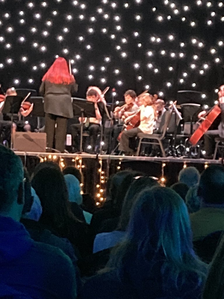 Well done to our P7 pupil who took part in the string orchestra <a href="/WDCmusic/">WDC Music Service</a> Spring Concert! A great achievement and a fantastic experience. 👏 🎶 #WDCMusic #P7Musician #Creativity