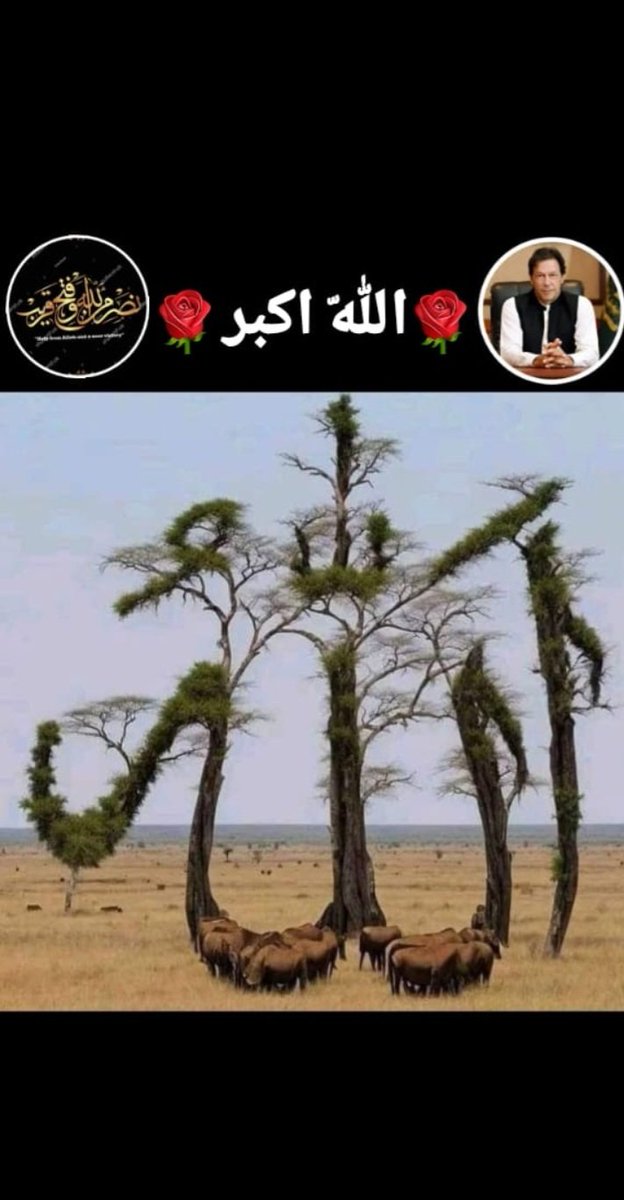 Captain Sarfaraz AHEMED (@ahemedcaptain) on Twitter photo RAMADAN⭐🌙
PROMOTION⭐🌙
<a href="/SarfarazAhemed/">Sarfaraz AHEMED</a>
<a href="/AhemedCaptain/">Captain Sarfaraz AHEMED</a>
<a href="/demsili_Arouna/">DEMSILI Harouna</a>
<a href="/KKahien99506/">Zubariya</a>
<a href="/Laliy74083617/">Laliy</a>
<a href="/Faqeeha_310/">Faqeeha Abbasi</a>
<a href="/Abbam007/">Abba Modu</a>
<a href="/shyn34155/">هـ͢ـيبةشمـ⃪الـ•ᬼ⃝⃡⃝🇾🇪̸͢ـيه 𓆩</a>
<a href="/DrhalamR/">Dr Halam Rajput</a>
<a href="/Dr_Army2/">Naveeda</a>
<a href="/KBsOwn/">KB</a>
<a href="/M_Bublii/">𝖬𝗂𝗌𝗌 𝖡𝗎𝖻𝗅𝗂𝗂🍒</a>
<a href="/SKN322/">SHAHRYAR KHAN</a>
<a href="/786HRT/">HumAyun Raza</a>
<a href="/MYK_63/">Mohammad Yameen khan</a>
<a href="/Khushe__/">꧁𝒦𝒽𝓊ش𝓈𝒽𝑒꧂</a>
<a href="/V13lula/">Karen Lúcia♀️🚩🌵</a>
<a href="/zubi_rai/">Zubaria Rai</a>
<a href="/0A4K7/">(AK-47)</a>
<a href="/j_b_s23/">🇸🇦🇱🇷🇸🇦سعيد مبروك الزهراني🇸🇦🇱🇷🇸🇦</a>
<a href="/2shg3/">Hashmi 🌻 ہاشمی</a>
<a href="/Fat9T/">Arshia🍂🥀</a>
<a href="/Asjk2/">Muhammad Junaid Anwar</a>
<a href="/ojjp8/">خلود 🫶🏻 مقيدة 🥹</a>
<a href="/bnte_/">بـٌـٌٌـٌٌٌـٌٌـٌنـِِـِـتـٌـٌٌـ۔</a> RAMADAN⭐🌙
PROMOTION⭐🌙
<a href="/SarfarazAhemed/">Sarfaraz AHEMED</a>
<a href="/AhemedCaptain/">Captain Sarfaraz AHEMED</a>
<a href="/demsili_Arouna/">DEMSILI Harouna</a>
<a href="/KKahien99506/">Zubariya</a>
<a href="/Laliy74083617/">Laliy</a>
<a href="/Faqeeha_310/">Faqeeha Abbasi</a>
<a href="/Abbam007/">Abba Modu</a>
<a href="/shyn34155/">هـ͢ـيبةشمـ⃪الـ•ᬼ⃝⃡⃝🇾🇪̸͢ـيه 𓆩</a>
<a href="/DrhalamR/">Dr Halam Rajput</a>
<a href="/Dr_Army2/">Naveeda</a>
<a href="/KBsOwn/">KB</a>
<a href="/M_Bublii/">𝖬𝗂𝗌𝗌 𝖡𝗎𝖻𝗅𝗂𝗂🍒</a>
<a href="/SKN322/">SHAHRYAR KHAN</a>
<a href="/786HRT/">HumAyun Raza</a>
<a href="/MYK_63/">Mohammad Yameen khan</a>
<a href="/Khushe__/">꧁𝒦𝒽𝓊ش𝓈𝒽𝑒꧂</a>
<a href="/V13lula/">Karen Lúcia♀️🚩🌵</a>
<a href="/zubi_rai/">Zubaria Rai</a>
<a href="/0A4K7/">(AK-47)</a>
<a href="/j_b_s23/">🇸🇦🇱🇷🇸🇦سعيد مبروك الزهراني🇸🇦🇱🇷🇸🇦</a>
<a href="/2shg3/">Hashmi 🌻 ہاشمی</a>
<a href="/Fat9T/">Arshia🍂🥀</a>
<a href="/Asjk2/">Muhammad Junaid Anwar</a>
<a href="/ojjp8/">خلود 🫶🏻 مقيدة 🥹</a>
<a href="/bnte_/">بـٌـٌٌـٌٌٌـٌٌـٌنـِِـِـتـٌـٌٌـ۔</a>