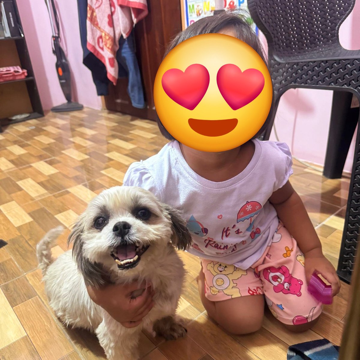 AIShihTzu3106's tweet image. I wanted to name her Persephone but I was told &quot;No Filipino can pronounce Greek babe&quot; frustrated I said &quot;Fine call her Cookie!&quot; and the name stuck. She&apos;s a good dog, eats lizards that make their way into my farm house in Philippines.

#cuteoftheday #pcccuteoftheday #pockets…