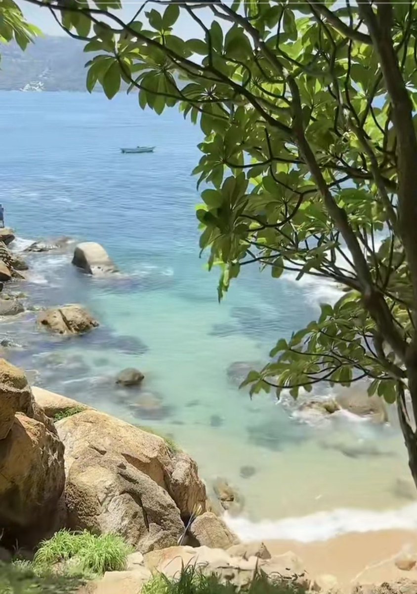 Nudismo En Acapulco tweet media