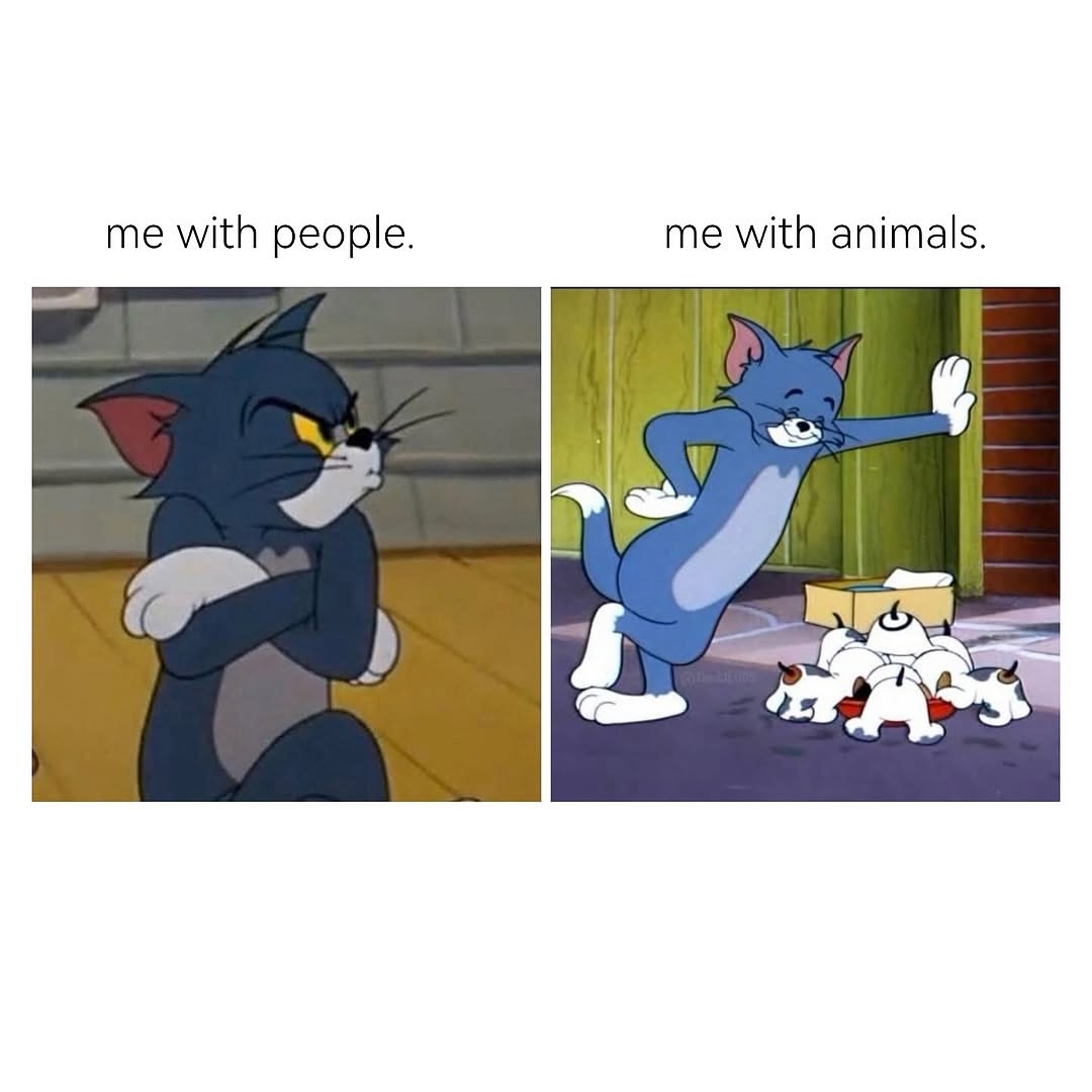 That’s so accurate 😂