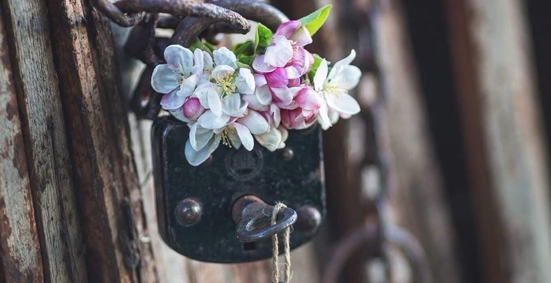 Çilesini çekmediğin hiçbir şeyin, hikmetine ve nimetine erişemezsin…

|| Bâzgeşt