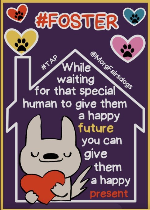 ❌ #Nycacc This is An Urgent Plea We Need Temporary #Fosters from   NY, CT, MA, NJ. Areas if you are genuinely committed and are interested please Dm @cathypolicky  @Nmbewitched or @Suzannesugar 🙏🐕#Fosterssavelives