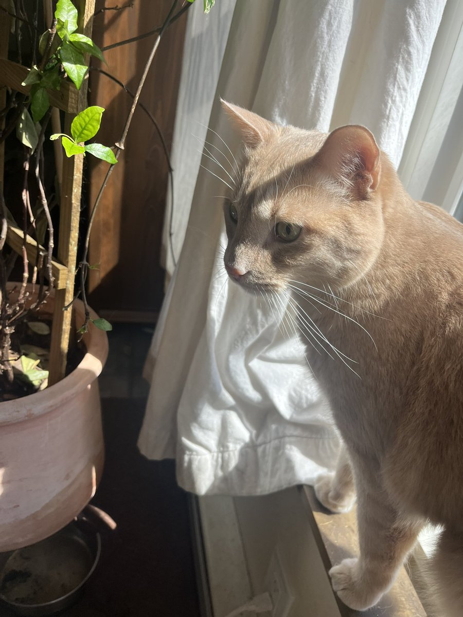 Peace love and prosperity